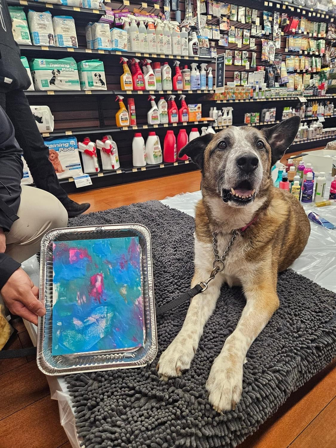 Pet Licky Painting Kit